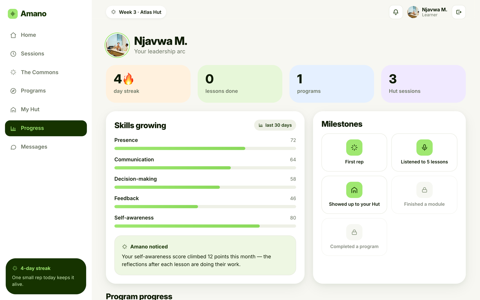 The Amano progress report: skills growing across five competencies, with milestones.